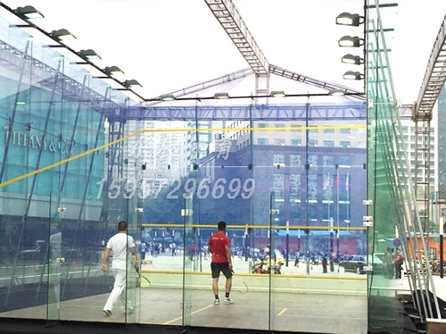 Fully glass squash court